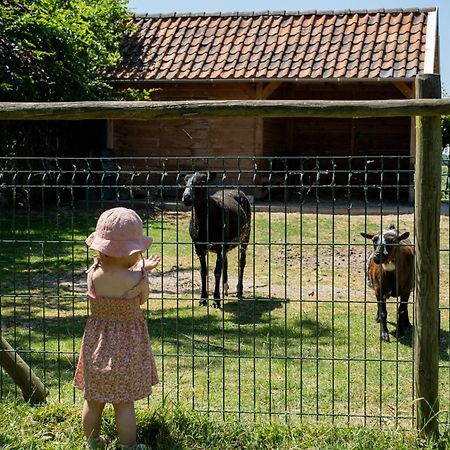 Hoeve De Binnenplaets Schimmert Exterior photo